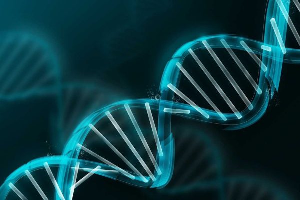 DNA