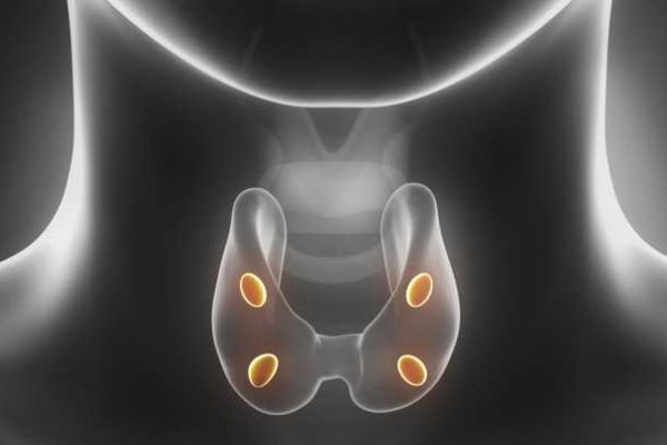 Parathyroid_1200-770x402