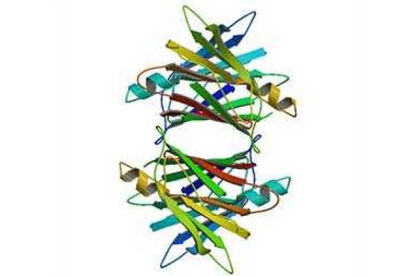 Transthyretin_img1