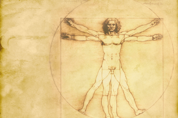 anatomia-da-vinci-1024x768