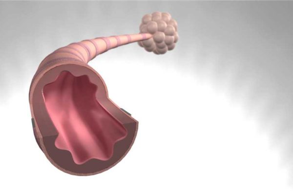 asthmapulmo