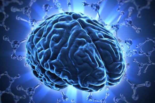 brainneurology