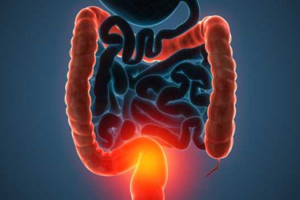 gut ibd