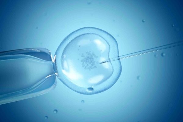 in vitro fert