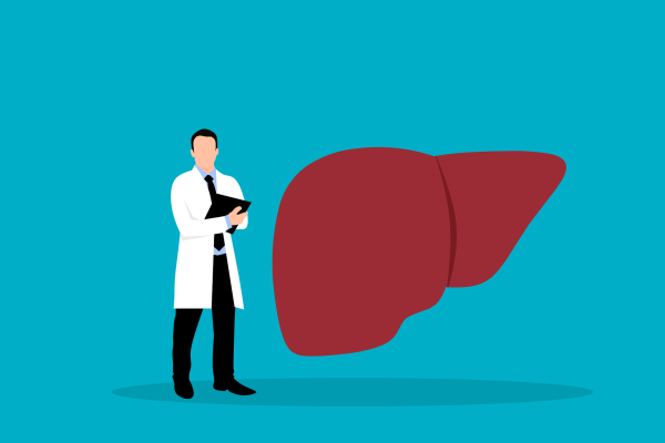 mohamed_hassan-liver-6685574_1920