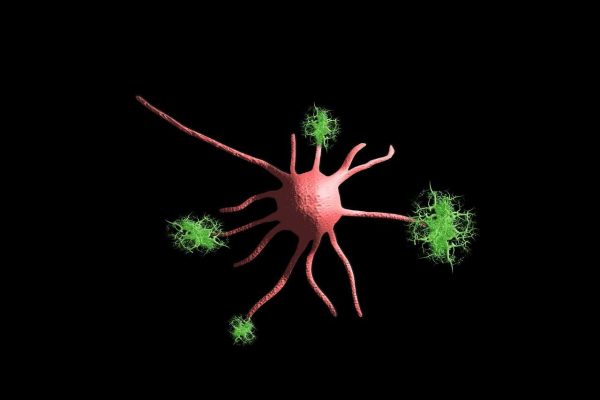 nerve-cell-5901773_1280