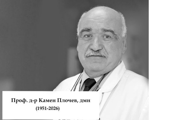 prof.kamen_plochev
