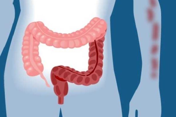 skinibd