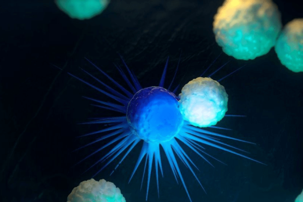 t cells
