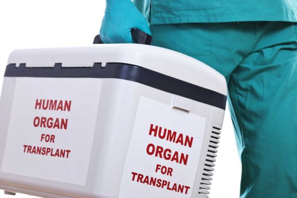 istock-18130774-organ-transplant